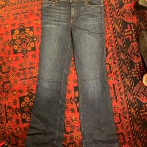 Joe's Jeans The Provocateur Petite Bootcut Jeans